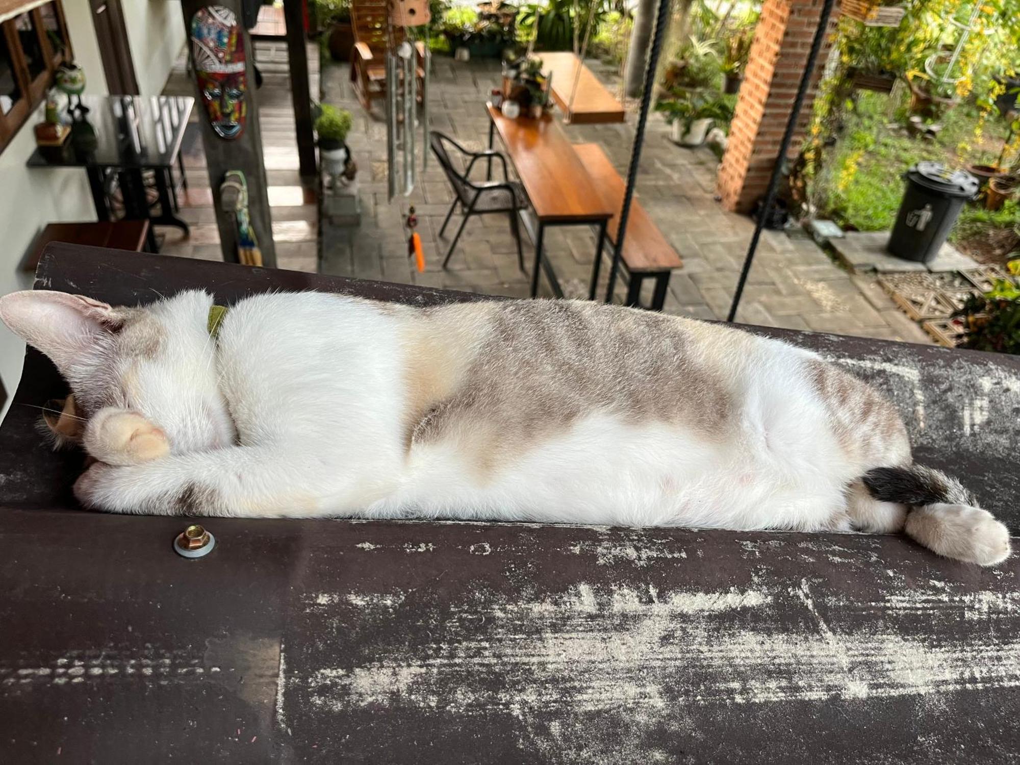 ครูหนูบ้านพัก แหลมงอบ Krunou Baanpak Trat Ngoại thất bức ảnh