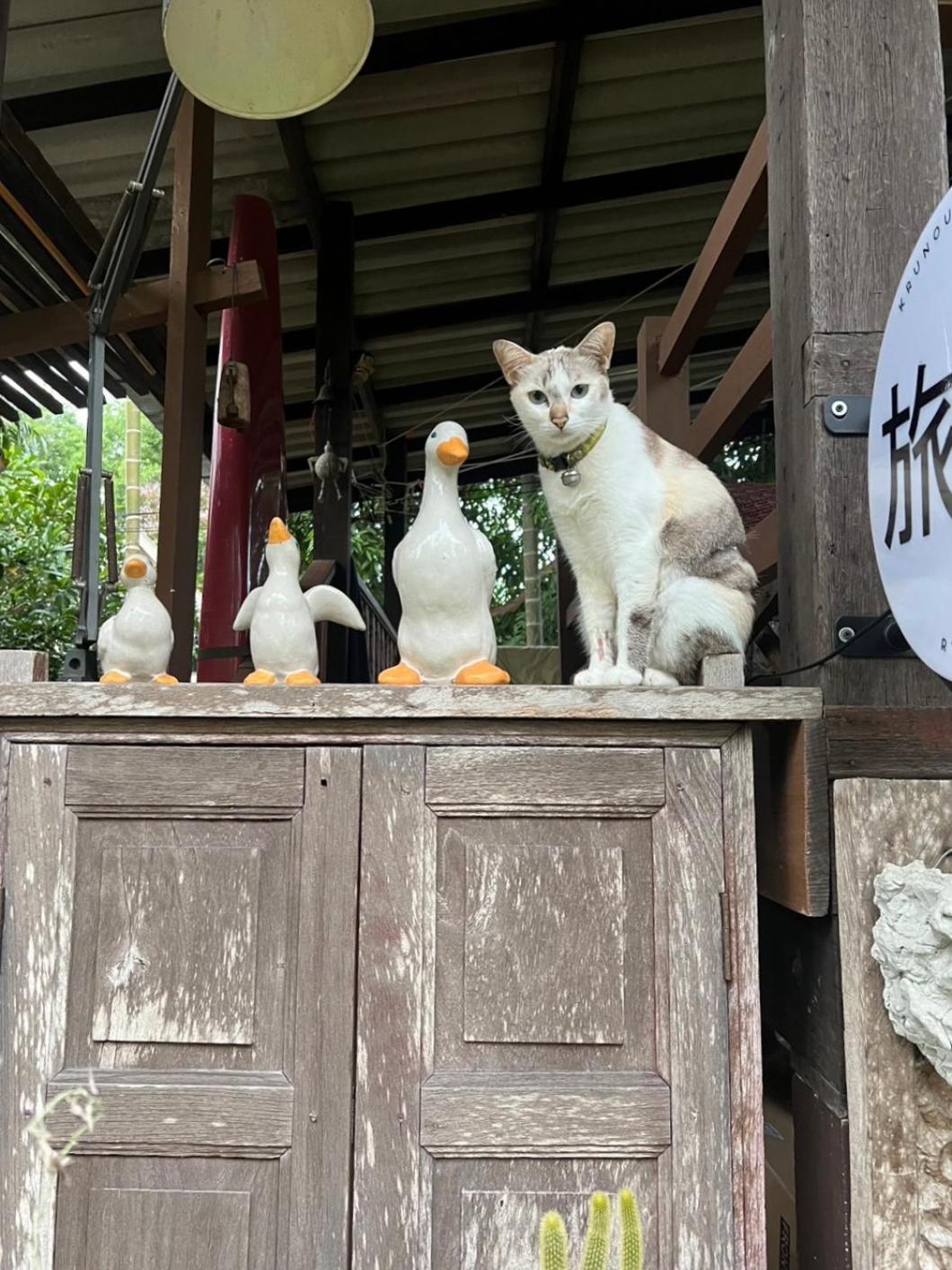 ครูหนูบ้านพัก แหลมงอบ Krunou Baanpak Trat Ngoại thất bức ảnh