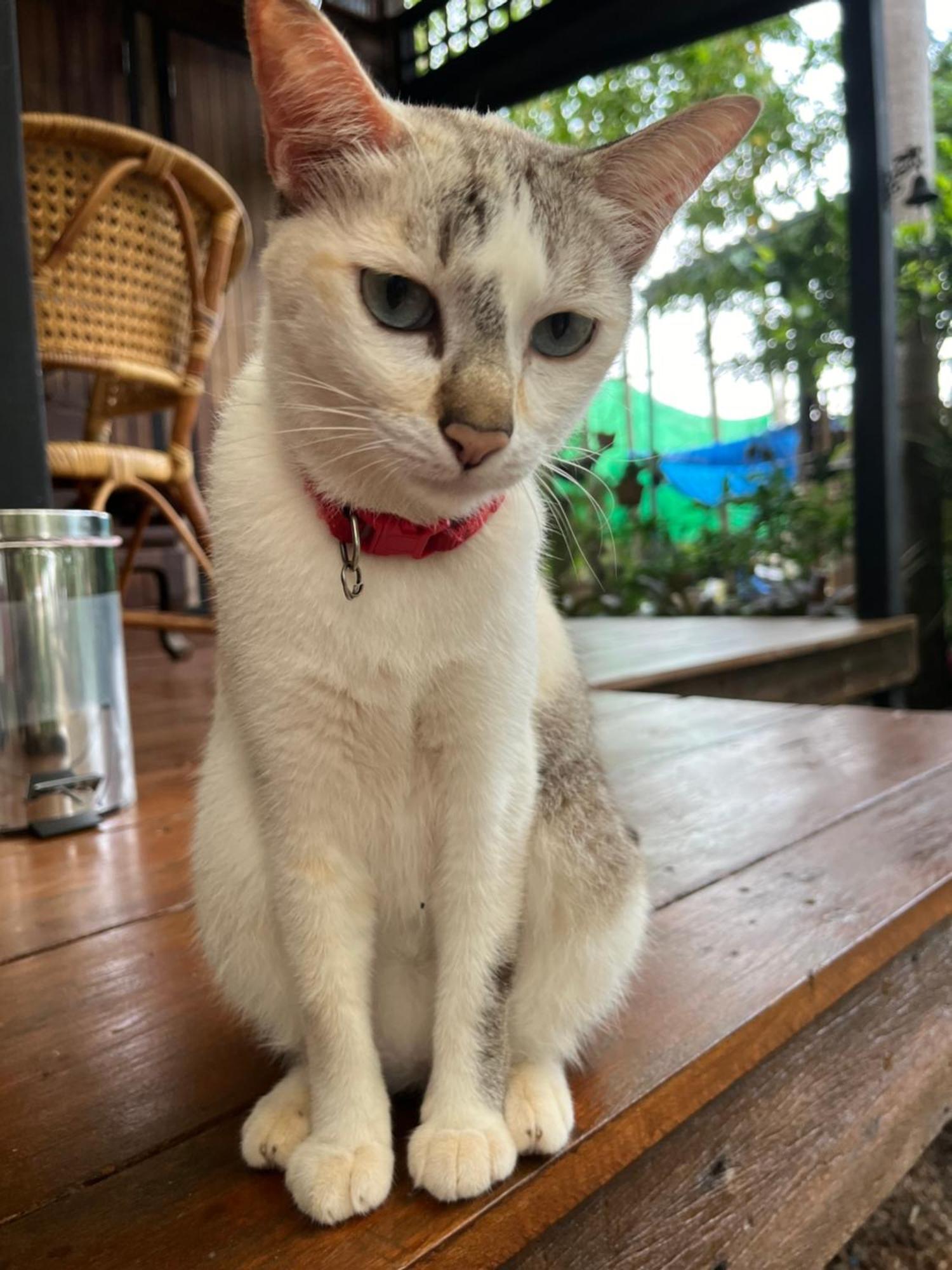 ครูหนูบ้านพัก แหลมงอบ Krunou Baanpak Trat Ngoại thất bức ảnh