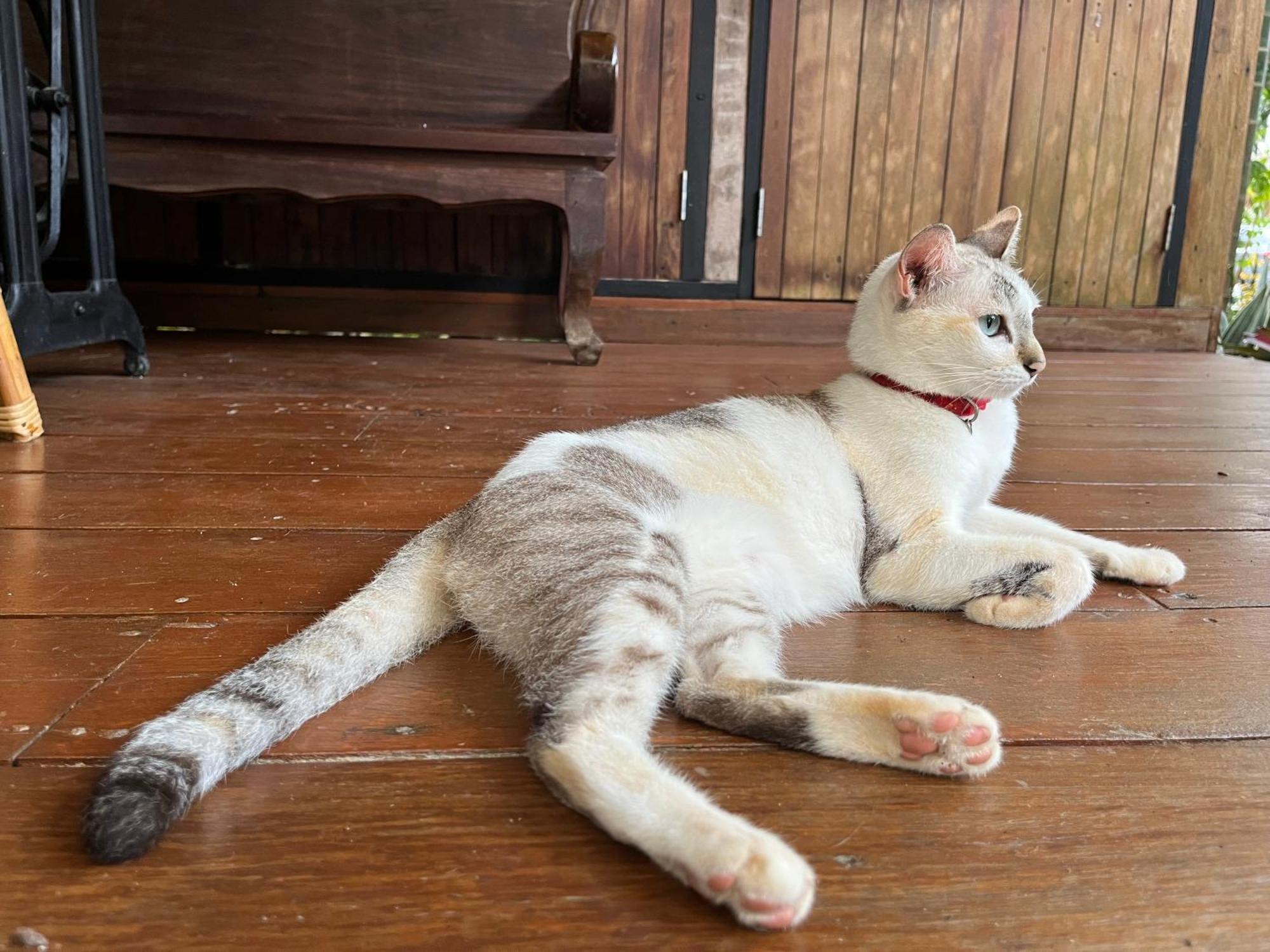 ครูหนูบ้านพัก แหลมงอบ Krunou Baanpak Trat Ngoại thất bức ảnh
